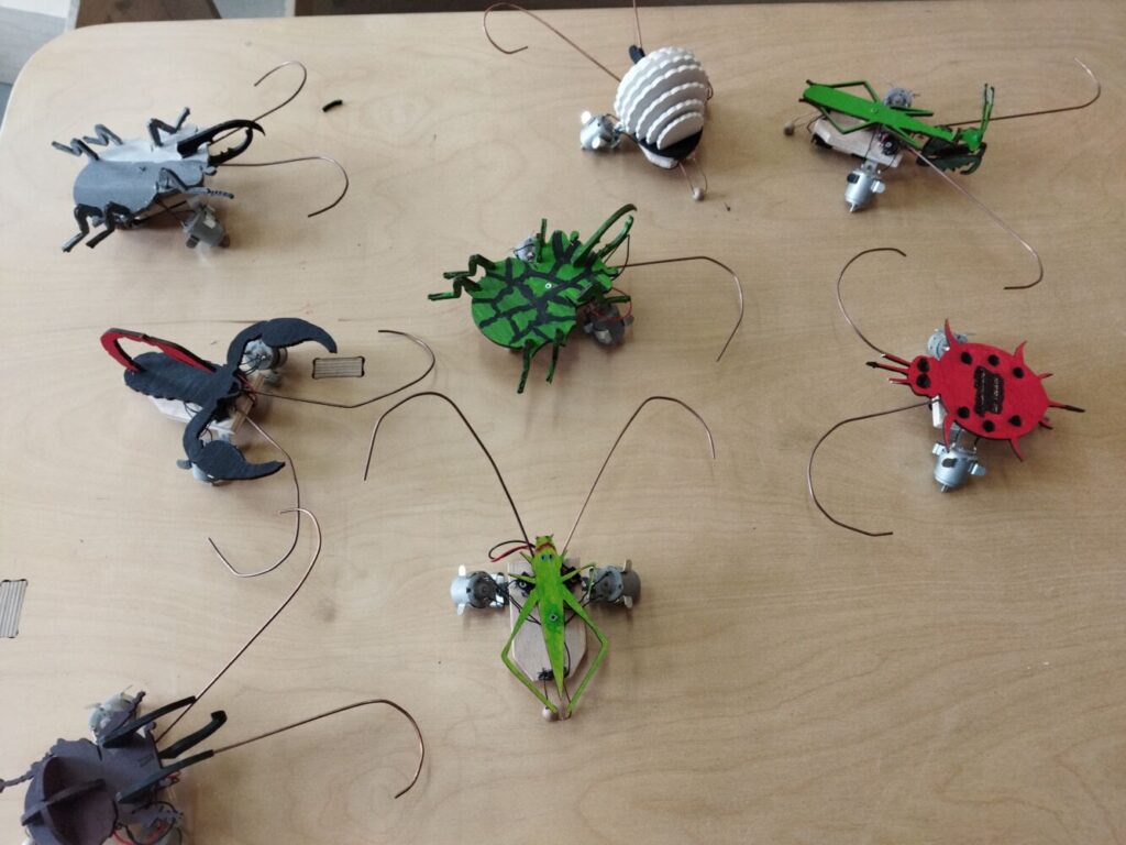 Petits robots électriques autonomes réalisés dans le cadre de notre stage \"Beetlebots\"